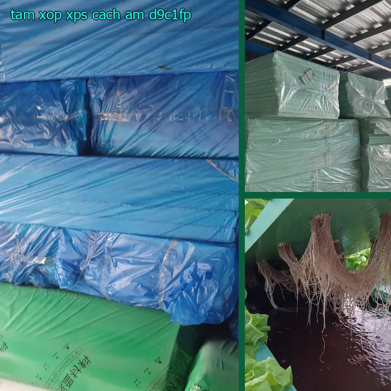 Tấm xốp XPS cách âm D9C1FP