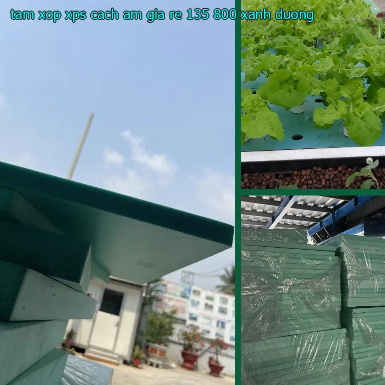 Màu sắc tấm xốp XPS cách âm giá rẻ 135.800₫: Xanh dương