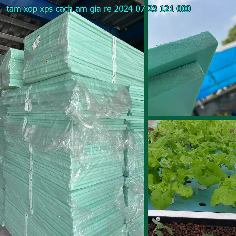 Giá tấm xốp XPS cách âm giá rẻ 2024-07-23: 121.000₫ Giá tấm xốp XPS cách âm giá rẻ 2024-07-23: 121.000₫