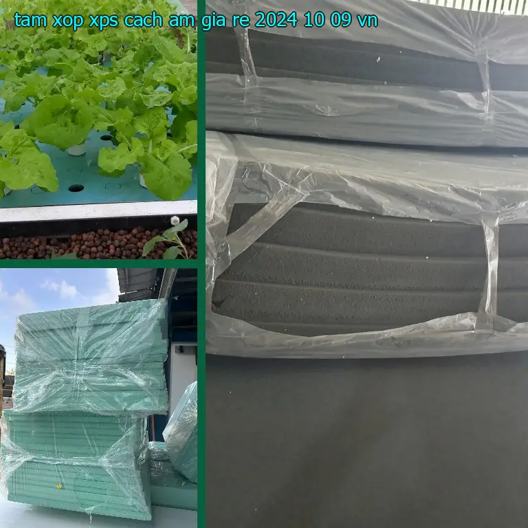 Xuất xứ tấm xốp XPS cách âm giá rẻ 2024-10-09: VN Xuất xứ tấm xốp XPS cách âm giá rẻ 2024-10-09: VN
