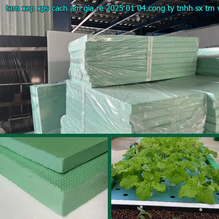 Nhà sản xuất tấm xốp XPS cách âm giá rẻ 2025-01-04: Công ty TNHH SX TM và đầu tư Tiến Phong