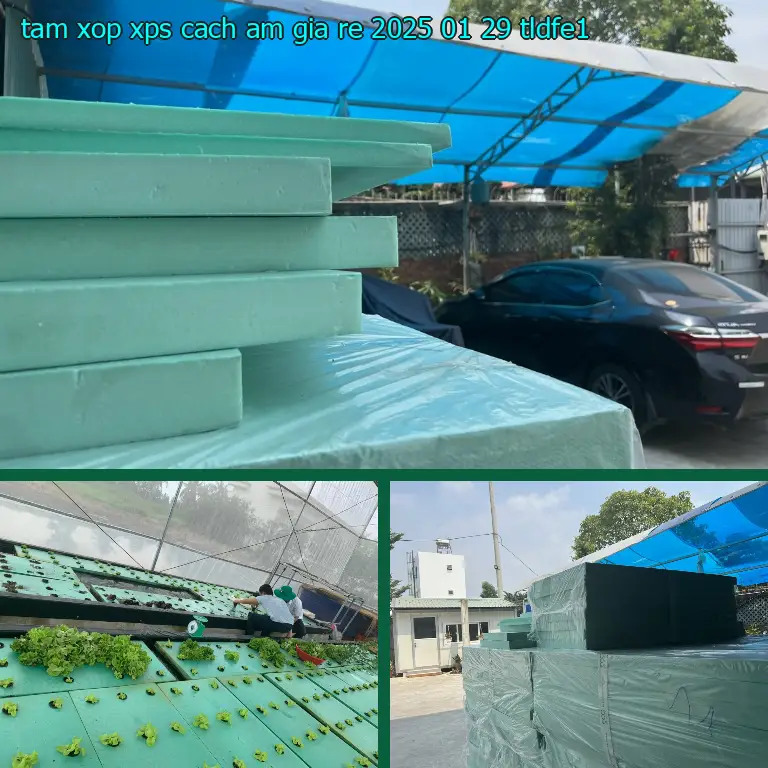 Model tấm xốp XPS cách âm giá rẻ 2025-01-29: TLDFE1 Model tấm xốp XPS cách âm giá rẻ 2025-01-29: TLDFE1