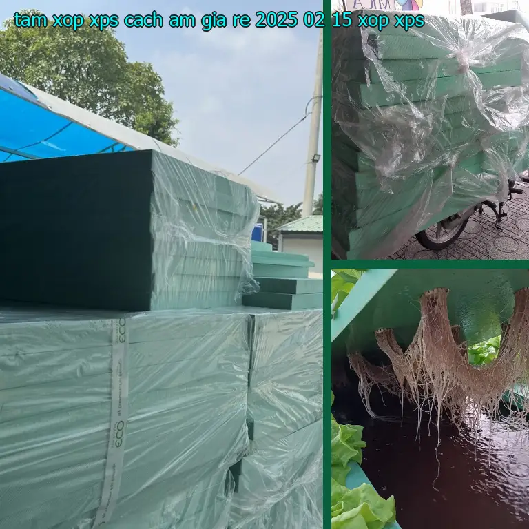 Danh mục tấm xốp XPS cách âm giá rẻ 2025-02-15: Xốp XPS Danh mục tấm xốp XPS cách âm giá rẻ 2025-02-15: Xốp XPS