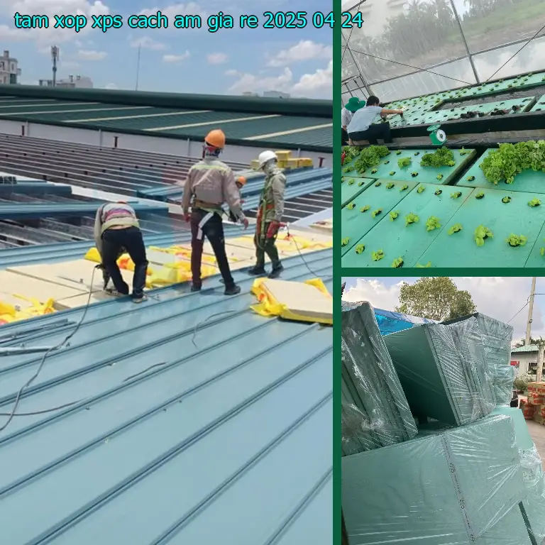 Tấm xốp XPS cách âm giá rẻ 2025-04-24