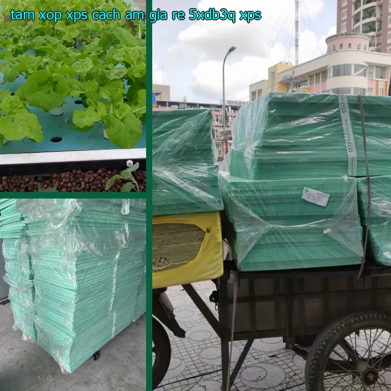 Chất liệu tấm xốp XPS cách âm giá rẻ 5XDB3Q: XPS