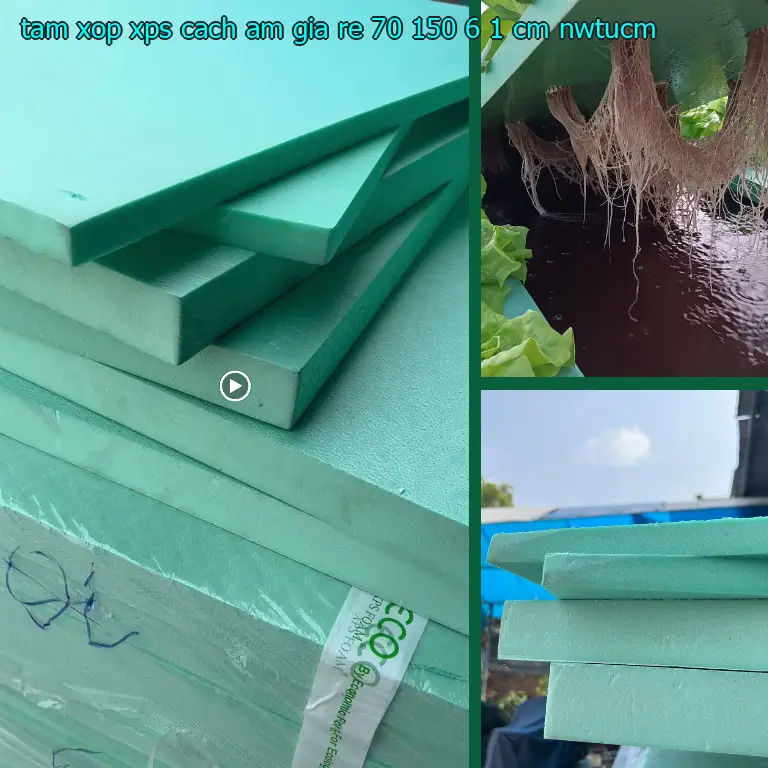 Model tấm xốp XPS cách âm giá rẻ 70*150*6.1 cm: NWTUCM Model tấm xốp XPS cách âm giá rẻ 70*150*6.1 cm: NWTUCM