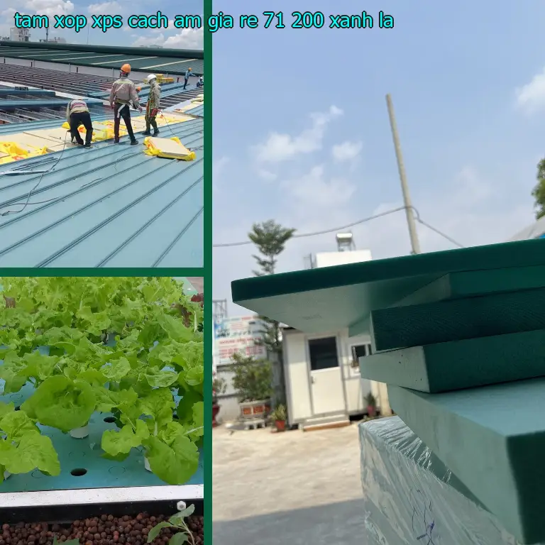 Màu sắc tấm xốp XPS cách âm giá rẻ 71.200₫: Xanh lá