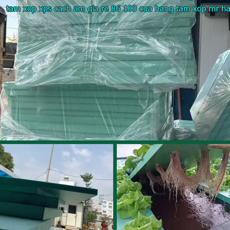 Nhà cung cấp tấm xốp XPS cách âm giá rẻ 86.100₫: Cửa hàng tấm xốp Mr.HẢI