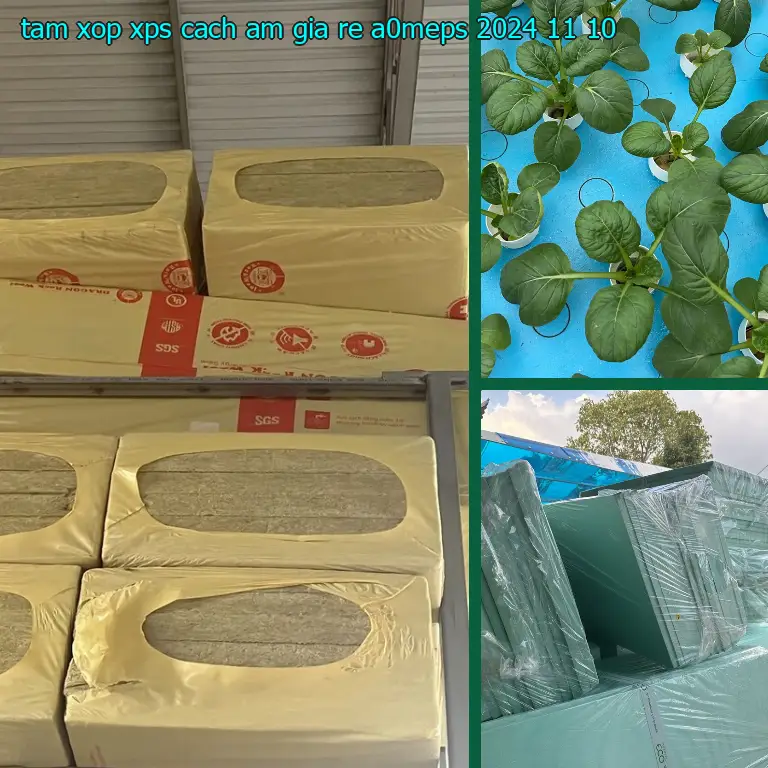 Ngày sản xuất tấm xốp XPS cách âm giá rẻ A0MEPS: 2024-11-10 Ngày sản xuất tấm xốp XPS cách âm giá rẻ A0MEPS: 2024-11-10