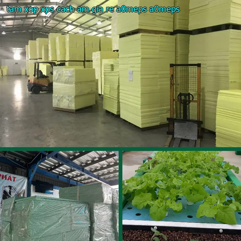 Model tấm xốp XPS cách âm giá rẻ A0MEPS: A0MEPS Model tấm xốp XPS cách âm giá rẻ A0MEPS: A0MEPS