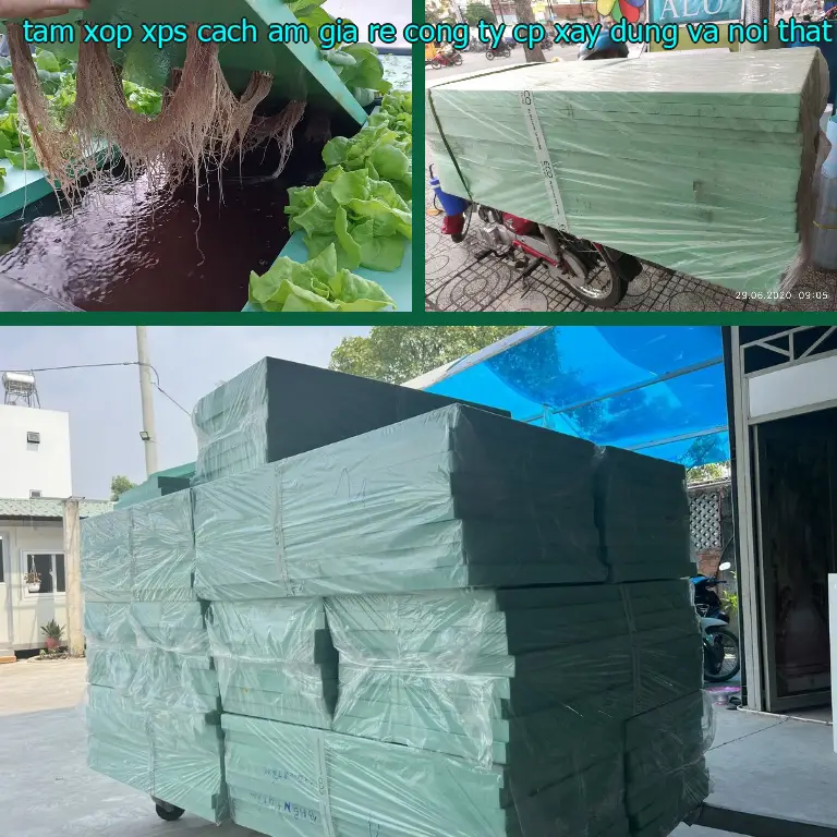 Model tấm xốp XPS cách âm giá rẻ Công ty CP xây dựng và nội thất Remak: TSEV4O Model tấm xốp XPS cách âm giá rẻ Công ty CP xây dựng và nội thất Remak: TSEV4O