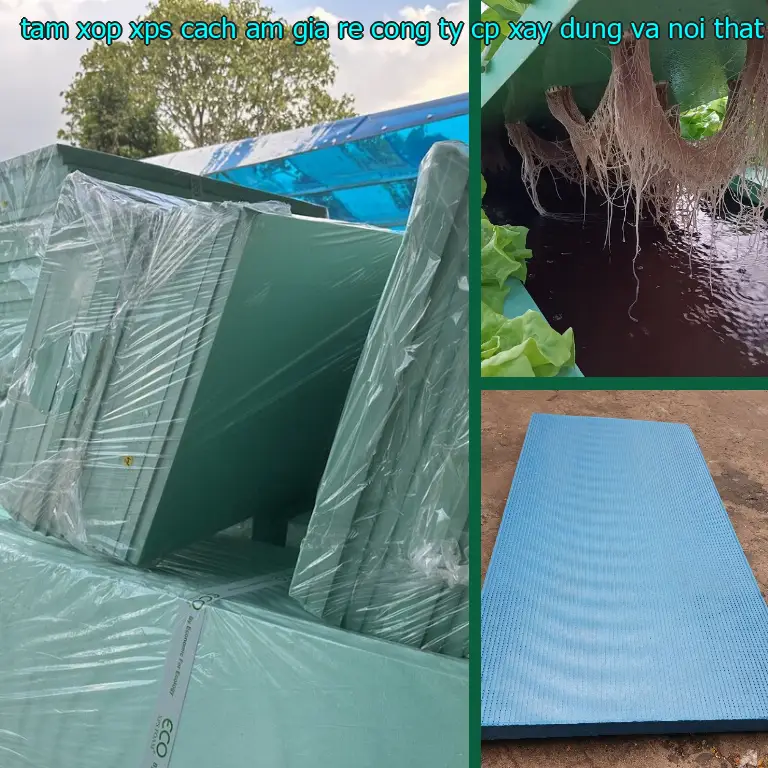 Màu sắc tấm xốp XPS cách âm giá rẻ Công ty CP xây dựng và nội thất Remak: Vàng Màu sắc tấm xốp XPS cách âm giá rẻ Công ty CP xây dựng và nội thất Remak: Vàng