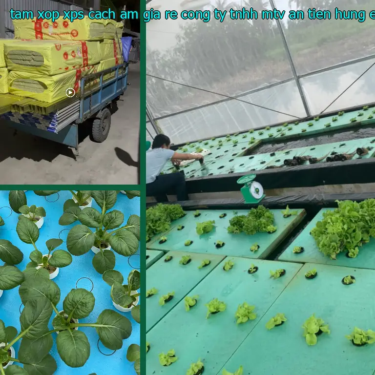 Chất liệu tấm xốp XPS cách âm giá rẻ Công ty TNHH MTV An Tiến Hưng: Extruded Polystyrene Chất liệu tấm xốp XPS cách âm giá rẻ Công ty TNHH MTV An Tiến Hưng: Extruded Polystyrene