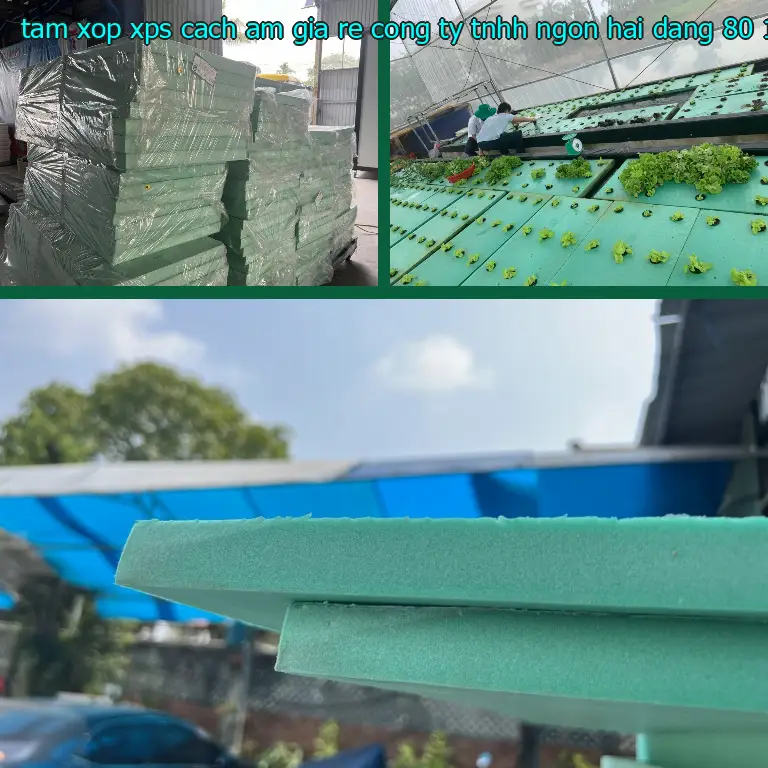 Kích thước tấm xốp XPS cách âm giá rẻ Công ty TNHH Ngọn Hải Đăng: 80*150*6.0 cm Kích thước tấm xốp XPS cách âm giá rẻ Công ty TNHH Ngọn Hải Đăng: 80*150*6.0 cm