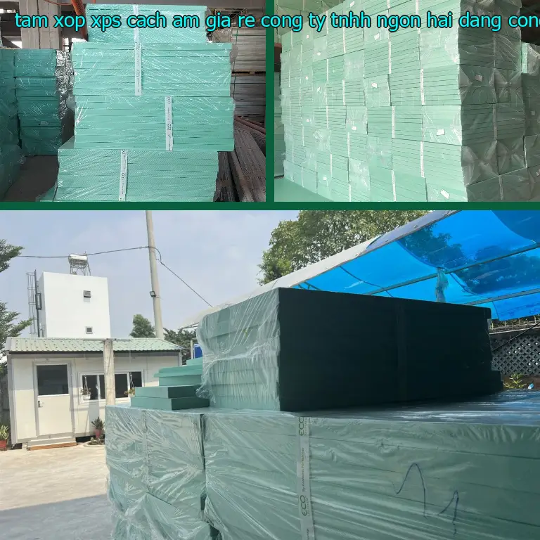 Nhà cung cấp tấm xốp XPS cách âm giá rẻ Công ty TNHH Ngọn Hải Đăng: Công ty TNHH Ngọn Hải Đăng Nhà cung cấp tấm xốp XPS cách âm giá rẻ Công ty TNHH Ngọn Hải Đăng: Công ty TNHH Ngọn Hải Đăng