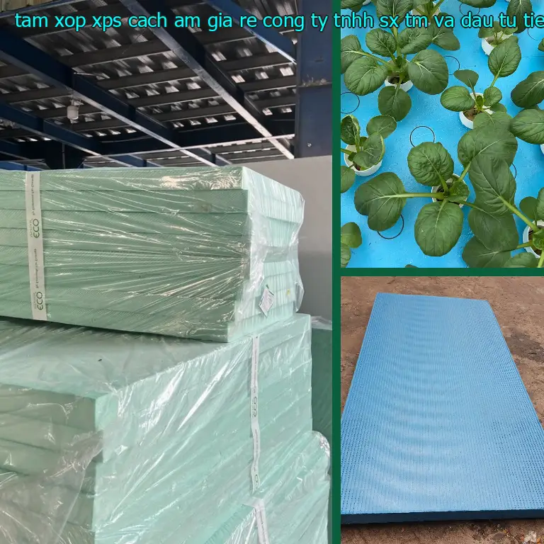 Đơn giá tấm xốp XPS cách âm giá rẻ Công ty TNHH SX TM và đầu tư Tiến Phong: 64.500₫