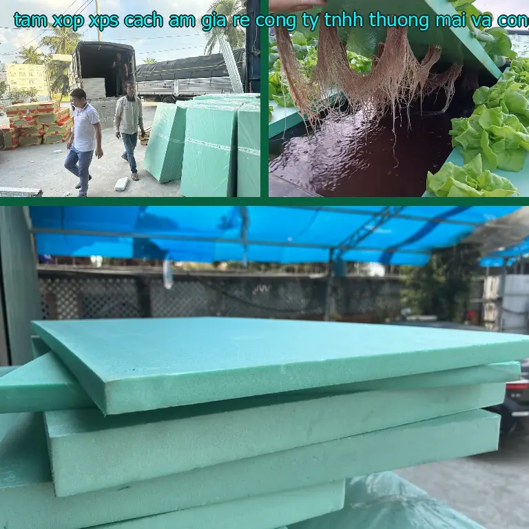 Tấm xốp XPS cách âm giá rẻ Công ty TNHH thương mại và công nghiệp Tín Tâm