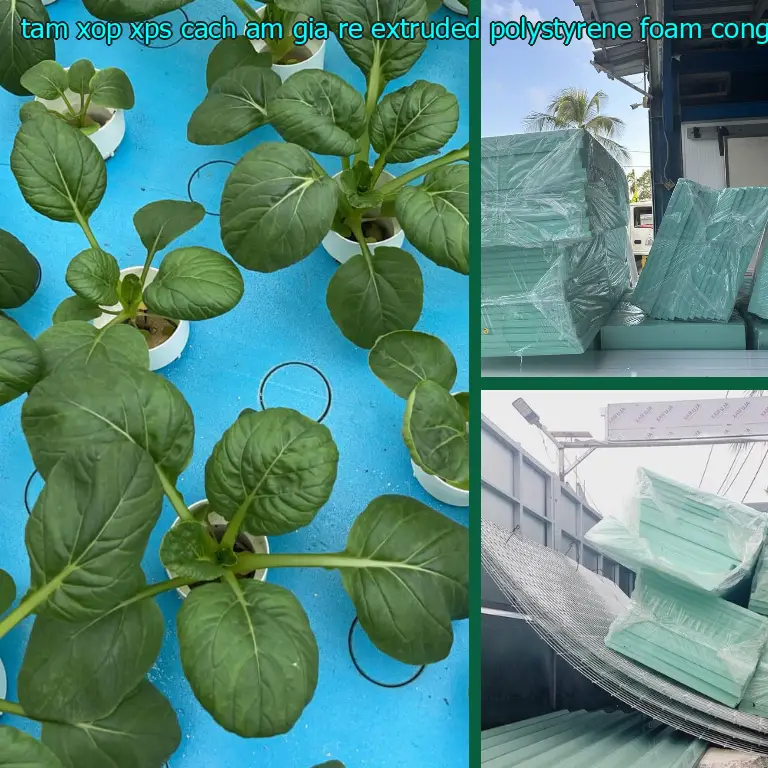 Nhà sản xuất tấm xốp XPS cách âm giá rẻ Extruded Polystyrene Foam: Công ty vật liệu cách nhiệt Việt Nhật Nhà sản xuất tấm xốp XPS cách âm giá rẻ Extruded Polystyrene Foam: Công ty vật liệu cách nhiệt Việt Nhật