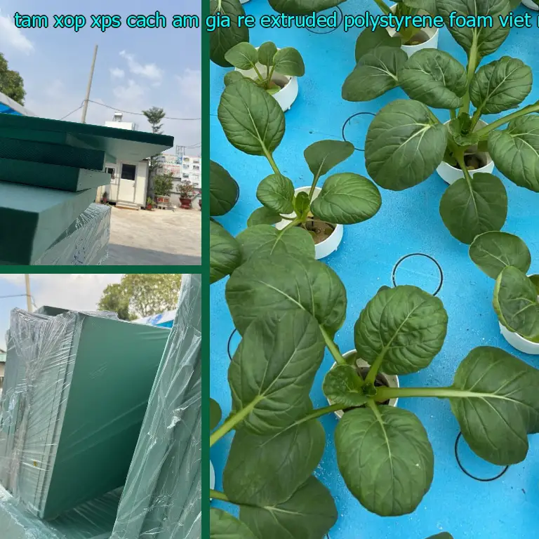 Xuất xứ tấm xốp XPS cách âm giá rẻ Extruded Polystyrene Foam: Việt Nam Xuất xứ tấm xốp XPS cách âm giá rẻ Extruded Polystyrene Foam: Việt Nam