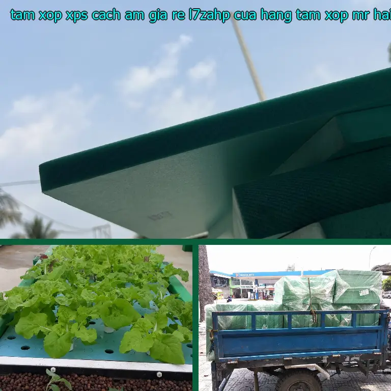 Nhà cung cấp tấm xốp XPS cách âm giá rẻ L7ZAHP: Cửa hàng tấm xốp Mr.HẢI Nhà cung cấp tấm xốp XPS cách âm giá rẻ L7ZAHP: Cửa hàng tấm xốp Mr.HẢI