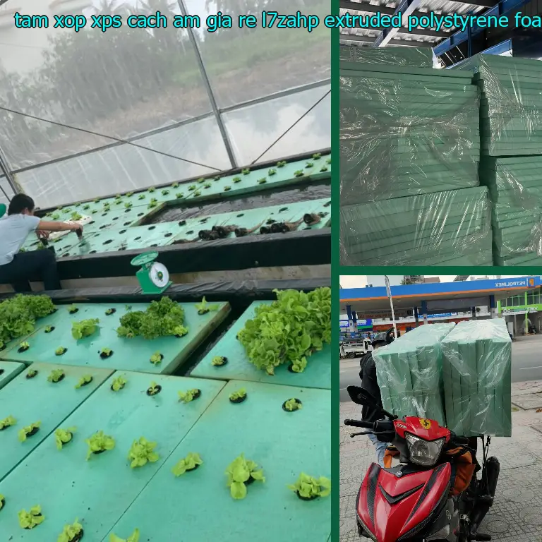 Chất liệu tấm xốp XPS cách âm giá rẻ L7ZAHP: Extruded Polystyrene Foam Chất liệu tấm xốp XPS cách âm giá rẻ L7ZAHP: Extruded Polystyrene Foam