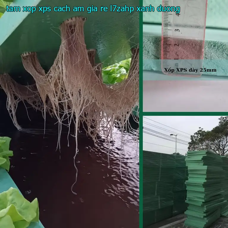Màu sắc tấm xốp XPS cách âm giá rẻ L7ZAHP: Xanh dương Màu sắc tấm xốp XPS cách âm giá rẻ L7ZAHP: Xanh dương