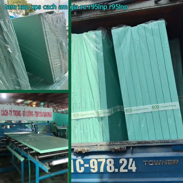 Model tấm xốp XPS cách âm giá rẻ R95LNP: R95LNP