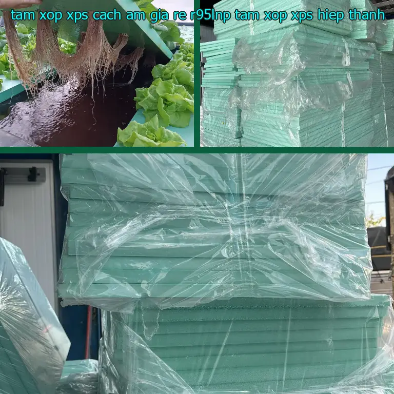 Nhà sản xuất tấm xốp XPS cách âm giá rẻ R95LNP: Tấm xốp XPS Hiệp Thành