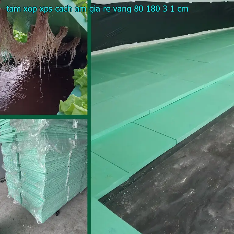 Kích thước tấm xốp XPS cách âm giá rẻ Vàng: 80*180*3.1 cm Kích thước tấm xốp XPS cách âm giá rẻ Vàng: 80*180*3.1 cm