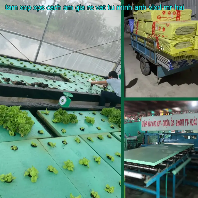 Nhà cung cấp tấm xốp XPS cách âm giá rẻ Vật tư Minh Anh: VLXD Mr.HẢI Nhà cung cấp tấm xốp XPS cách âm giá rẻ Vật tư Minh Anh: VLXD Mr.HẢI