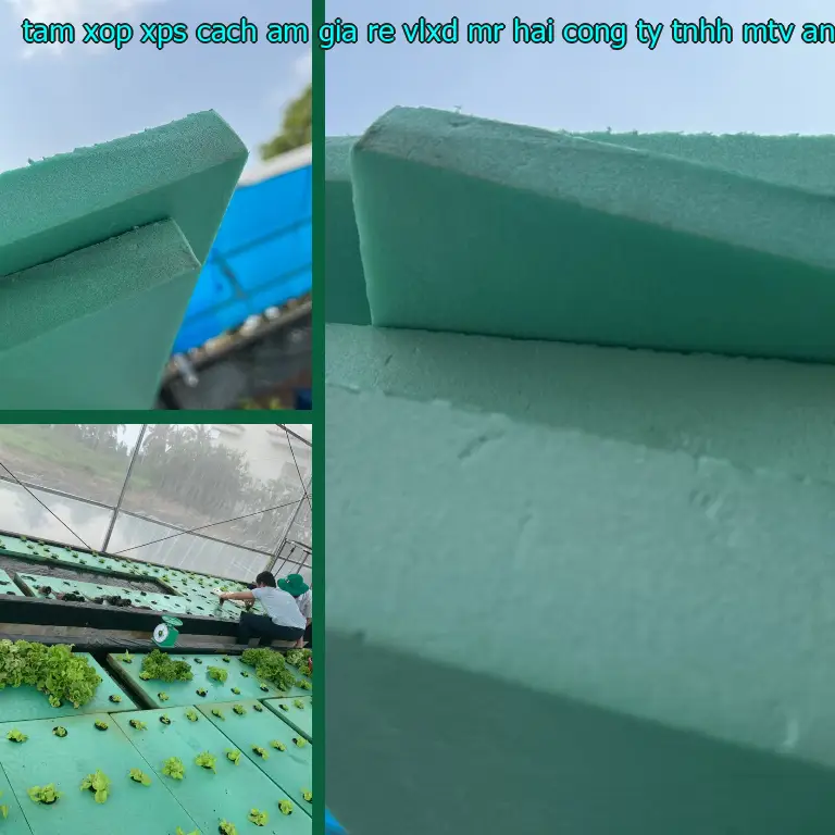 Nhà sản xuất tấm xốp XPS cách âm giá rẻ VLXD Mr.HẢI: Công ty TNHH MTV An Tiến Hưng Nhà sản xuất tấm xốp XPS cách âm giá rẻ VLXD Mr.HẢI: Công ty TNHH MTV An Tiến Hưng
