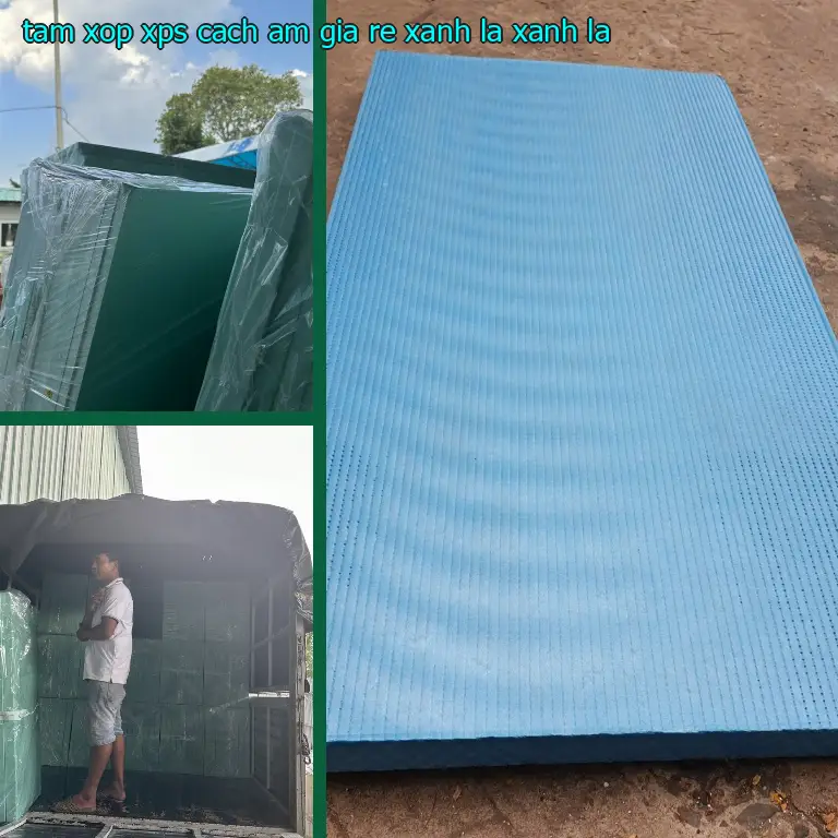 Màu sắc tấm xốp XPS cách âm giá rẻ Xanh lá: Xanh lá Màu sắc tấm xốp XPS cách âm giá rẻ Xanh lá: Xanh lá
