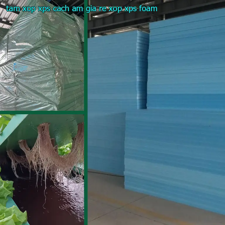 Tấm xốp XPS cách âm giá rẻ Xốp XPS Foam