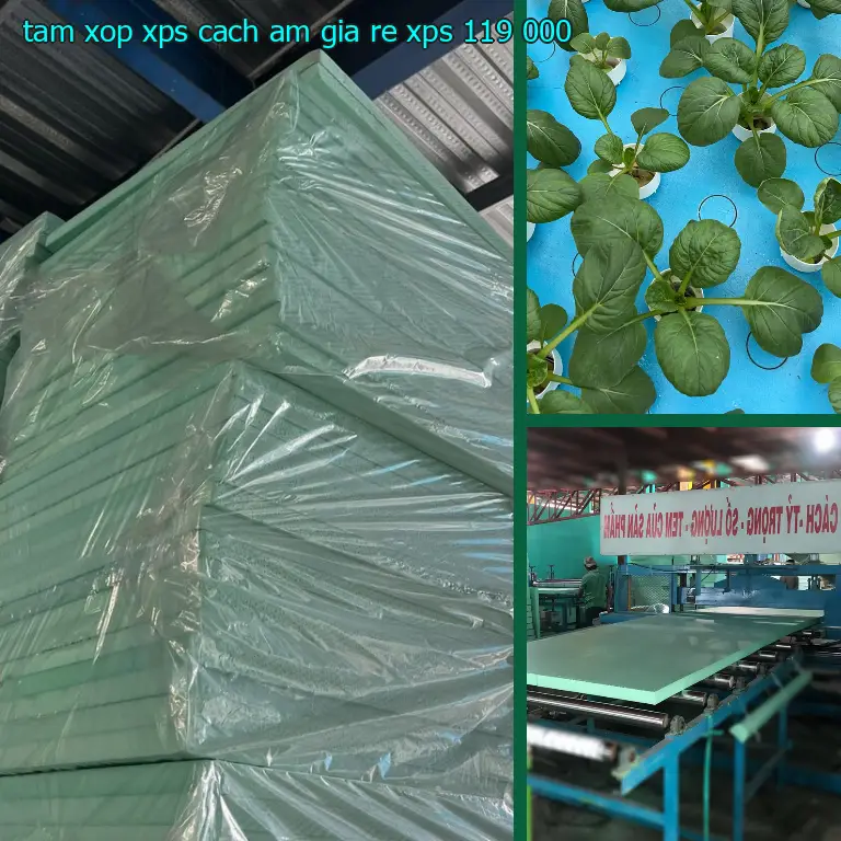 Đơn giá tấm xốp XPS cách âm giá rẻ XPS: 119.000₫ Đơn giá tấm xốp XPS cách âm giá rẻ XPS: 119.000₫