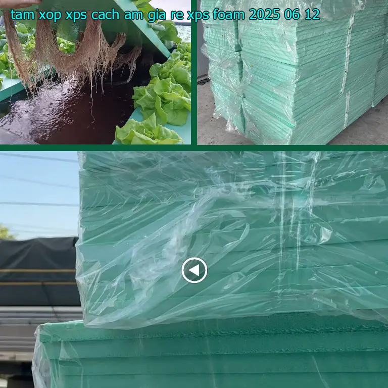 Ngày sản xuất tấm xốp XPS cách âm giá rẻ XPS Foam: 2025-06-12 Ngày sản xuất tấm xốp XPS cách âm giá rẻ XPS Foam: 2025-06-12