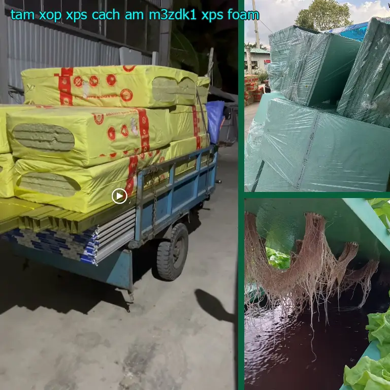 Danh mục tấm xốp XPS cách âm M3ZDK1: XPS Foam Danh mục tấm xốp XPS cách âm M3ZDK1: XPS Foam