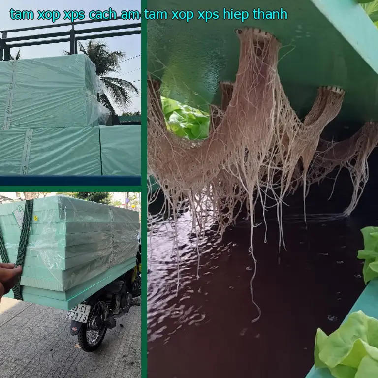 Tấm xốp XPS cách âm Tấm xốp XPS Hiệp Thành