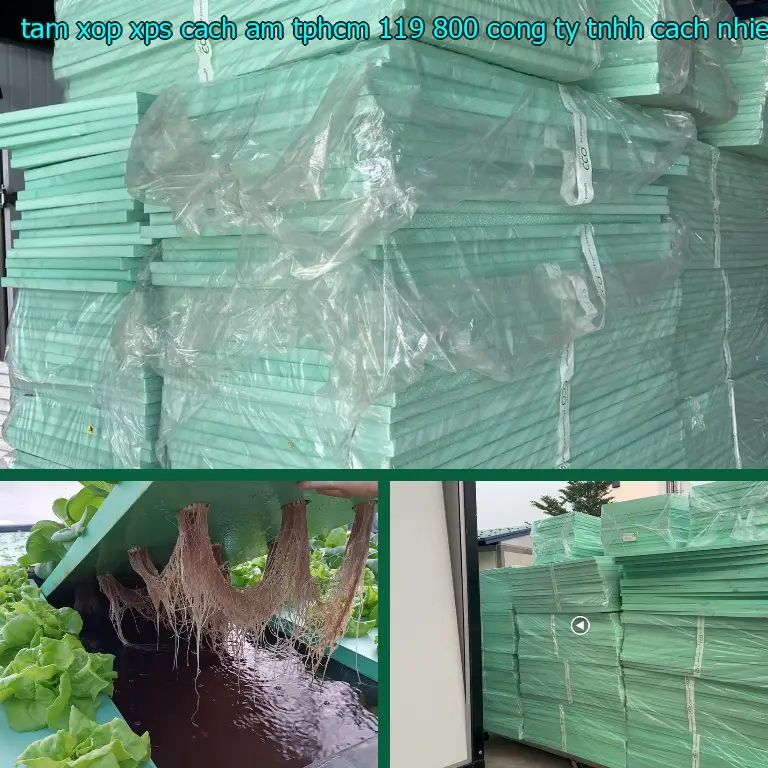 Nhà sản xuất tấm xốp XPS cách âm TpHCM 119.800₫: Công ty TNHH cách nhiệt Thịnh Phát Nhà sản xuất tấm xốp XPS cách âm TpHCM 119.800₫: Công ty TNHH cách nhiệt Thịnh Phát