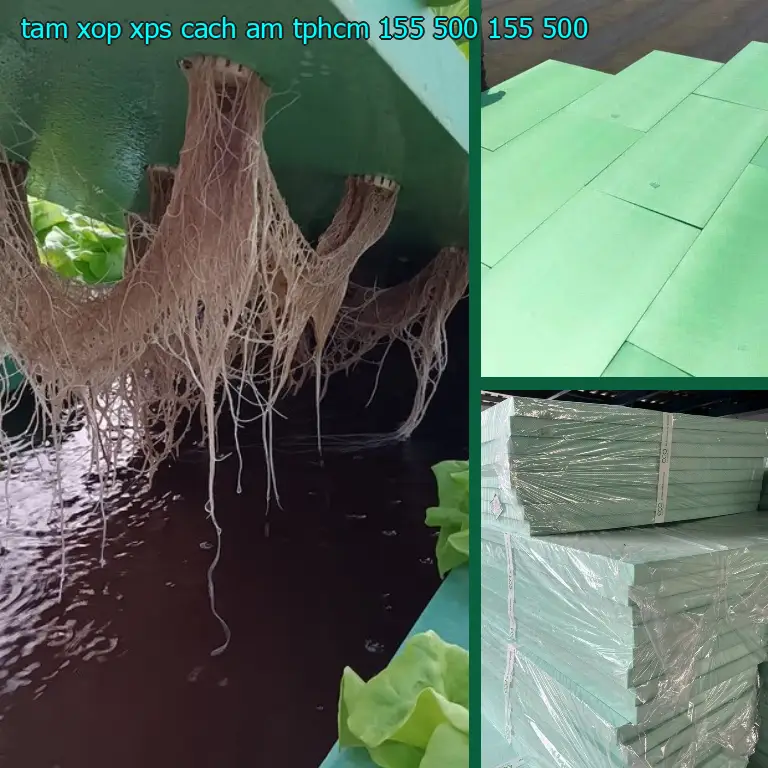 Đơn giá tấm xốp XPS cách âm TpHCM 155.500₫: 155.500₫ Đơn giá tấm xốp XPS cách âm TpHCM 155.500₫: 155.500₫