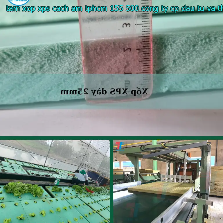 Nhà sản xuất tấm xốp XPS cách âm TpHCM 155.500₫: Công ty CP đầu tư và thương mại AK Việt Nam Nhà sản xuất tấm xốp XPS cách âm TpHCM 155.500₫: Công ty CP đầu tư và thương mại AK Việt Nam