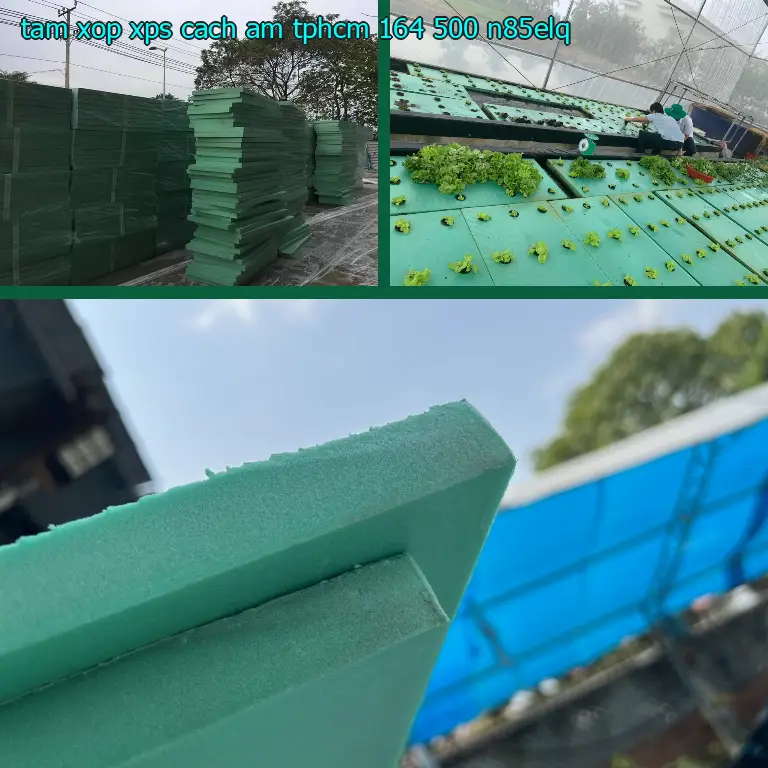 Model tấm xốp XPS cách âm TpHCM 164.500₫: N85ELQ Model tấm xốp XPS cách âm TpHCM 164.500₫: N85ELQ