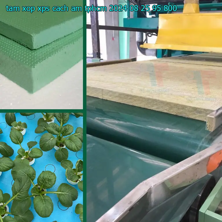 Đơn giá tấm xốp XPS cách âm TpHCM 2024-08-25: 95.800₫