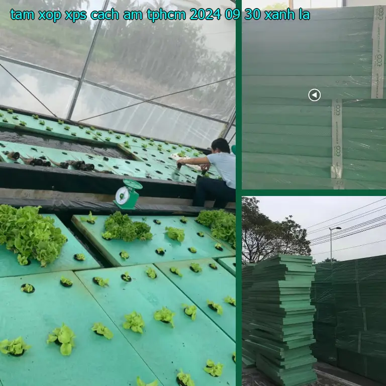 Màu sắc tấm xốp XPS cách âm TpHCM 2024-09-30: Xanh lá