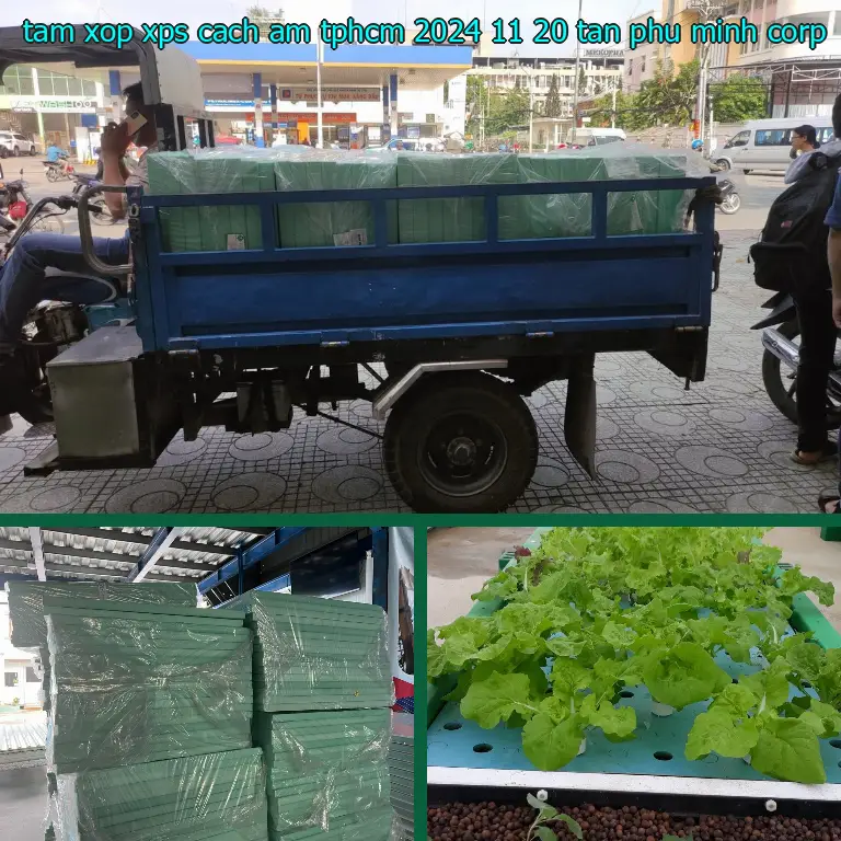 Nhà sản xuất tấm xốp XPS cách âm TpHCM 2024-11-20: Tân Phú Minh Corp Nhà sản xuất tấm xốp XPS cách âm TpHCM 2024-11-20: Tân Phú Minh Corp