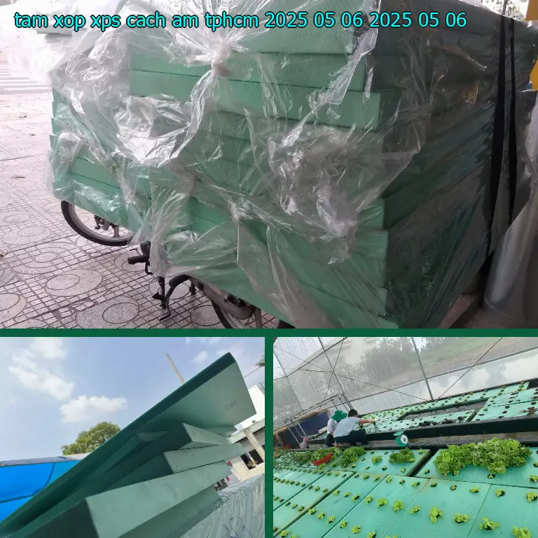 Ngày sản xuất tấm xốp XPS cách âm TpHCM 2025-05-06: 2025-05-06 Ngày sản xuất tấm xốp XPS cách âm TpHCM 2025-05-06: 2025-05-06