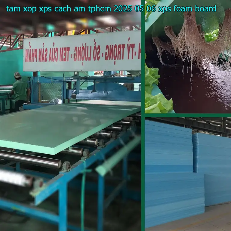 Danh mục tấm xốp XPS cách âm TpHCM 2025-05-06: XPS Foam Board Danh mục tấm xốp XPS cách âm TpHCM 2025-05-06: XPS Foam Board