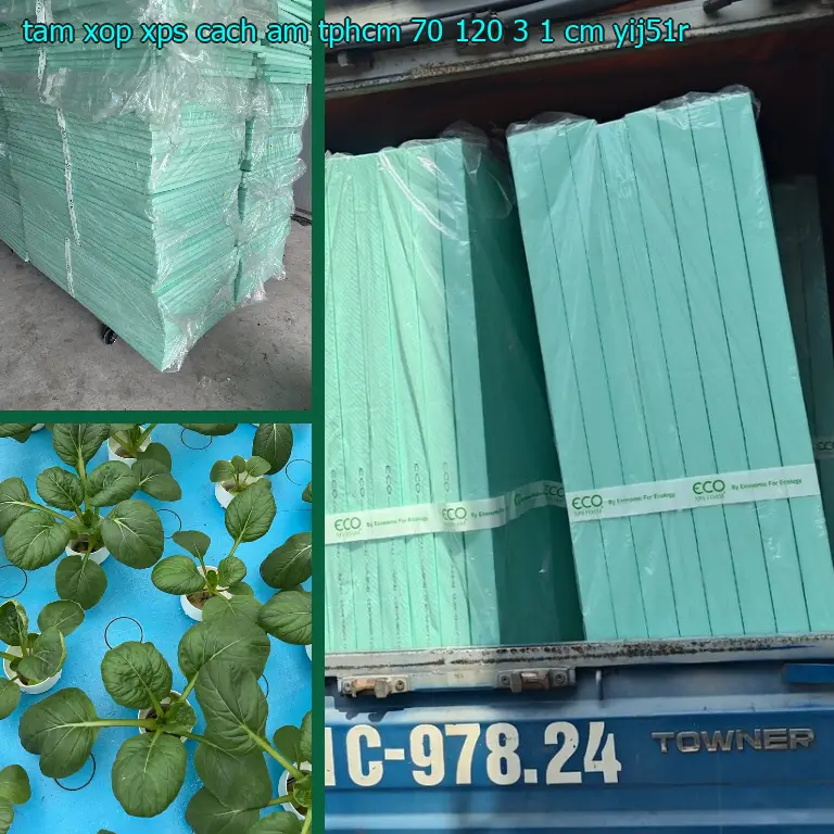 Model tấm xốp XPS cách âm TpHCM 70*120*3.1 cm: YIJ51R Model tấm xốp XPS cách âm TpHCM 70*120*3.1 cm: YIJ51R