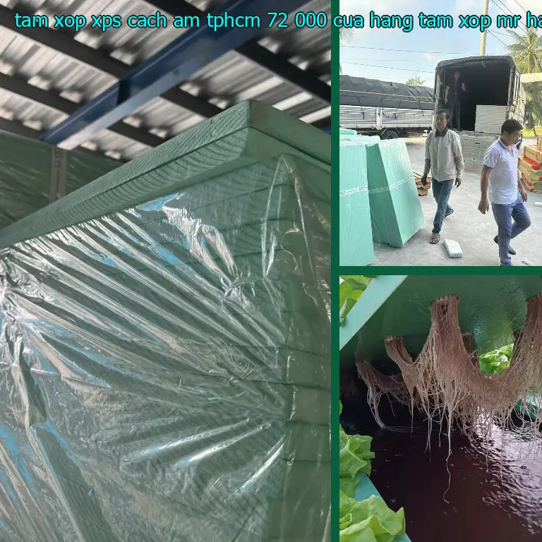 Nhà cung cấp tấm xốp XPS cách âm TpHCM 72.000₫: Cửa hàng tấm xốp Mr.HẢI Nhà cung cấp tấm xốp XPS cách âm TpHCM 72.000₫: Cửa hàng tấm xốp Mr.HẢI