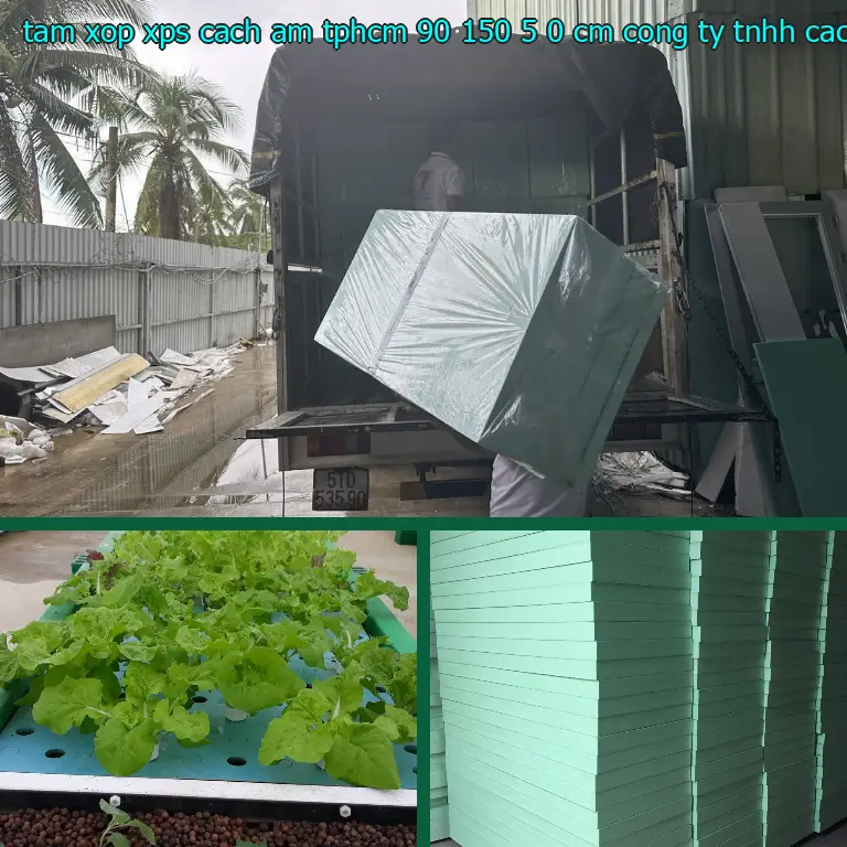 Nhà sản xuất tấm xốp XPS cách âm TpHCM 90*150*5.0 cm: Công ty TNHH cách nhiệt King Panel Nhà sản xuất tấm xốp XPS cách âm TpHCM 90*150*5.0 cm: Công ty TNHH cách nhiệt King Panel