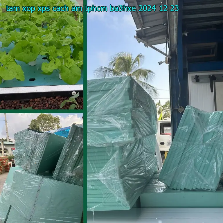 Ngày sản xuất tấm xốp XPS cách âm TpHCM BA3HXE: 2024-12-23